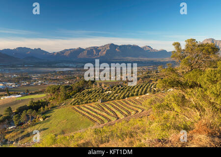 Paarl Valley at sunrise, Paarl, Western Cape, South Africa Stock Photo