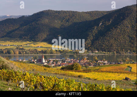 An autumn view on Weißenkirchen in der Wachau with yellow vines - a touristic town next to the Danube river in the Wachau valley, Lower Austria Stock Photo