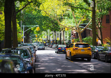 NEW YORK CITY - AUGUST 27, 2017:  A NYC yellow cab drives along a leafy street in Park Slope, Brooklyn. Stock Photo