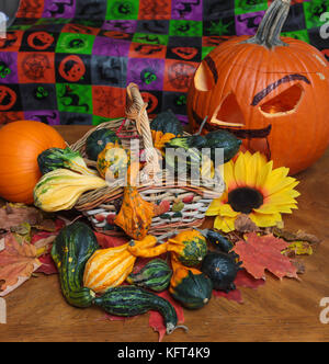 Gourds and Pumpkins with maple leafes of different size and shapes, still life Stock Photo