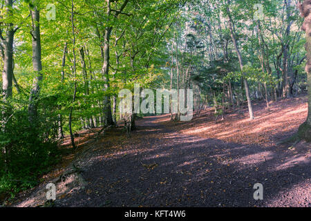 Autumn colours in the landscape Stock Photo