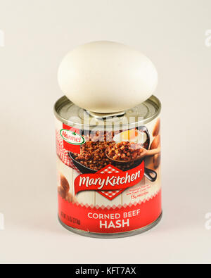 One white raw egg sitting on top of a small can of Mary Kitchen Corned Beef Hash, ready to make a tasty meal. Stock Photo