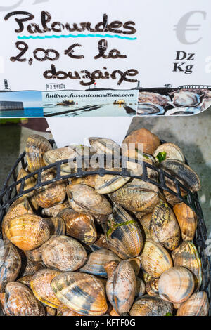 Basket of fresh clams on market stall - France. Stock Photo