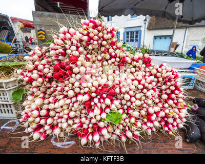 Bunches of radishes on market stall - France. Stock Photo