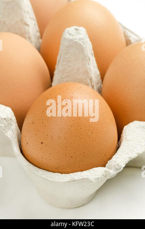 Brown chicken eggs in gray egg carton. Raw slightly speckled hen eggs in recycled paper egg box. Common food and versatile ingredient used in cooking. Stock Photo