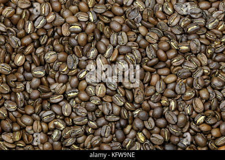 manufacture roasted Indonesian Java Arabica coffee beans (variety Blawan Estate) for background use Stock Photo