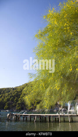 Skopelos Island, Greece Stock Photo