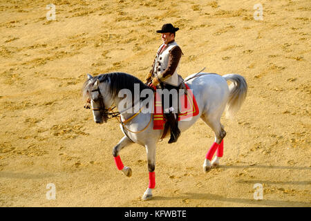 Performing Andalusian dancing horse and rider. Andalusia, Spain Stock Photo