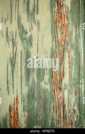Flaking green paint on faded wood background Stock Photo