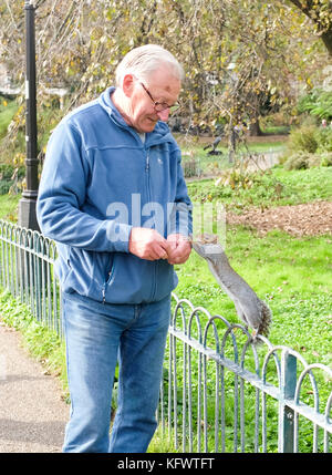 Brighton, UK. 1st November, 2017. A cheeky grey squirrel enjoys a free hand fed meal in Pavilion Gardens Brighton in unusually warm Autumn weather today Credit: Simon Dack/Alamy Live News Stock Photo