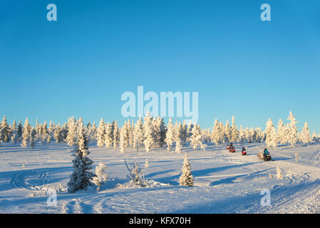 Group of snowmobiles in Lapland, near Saariselka, Finland Stock Photo