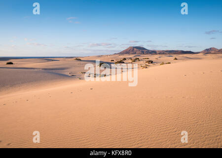 Parque Natural de Corralejo Sand Dunes Corralejo  La Oliva Fuerteventura  Canary Islands Spain Stock Photo