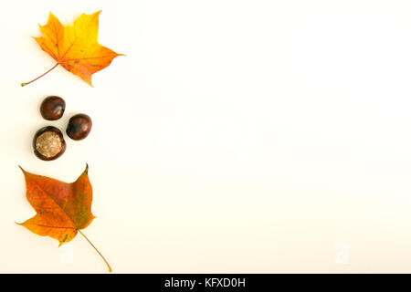 Two colorful leaves and chestnuts at left side of white background - place for text Stock Photo