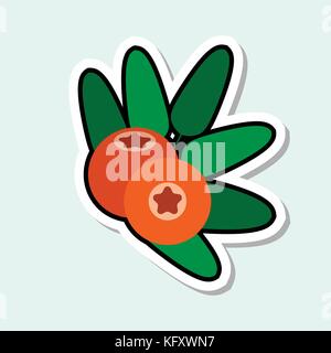 Mountain Ash Sticker On Blue Background Colorful Fruit Icon Stock Vector