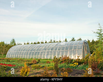 Homemade big arched plastic greenhouse in garden Stock Photo