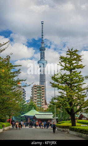 Tokyo Skytree Tower seen from Senso-ji Temple in Asakusa old district