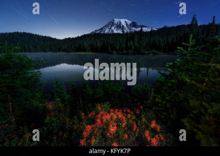 Wildflowers and startrails in Mount Rainier National Park, Washington. Magenta paintbrush at Reflection lake Stock Photo