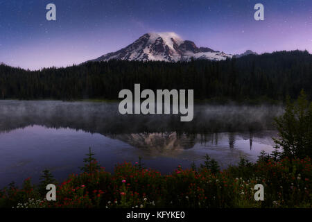 Wildflowers and startrails in Mount Rainier National Park, Washington. Magenta paintbrush at Reflection lake Stock Photo