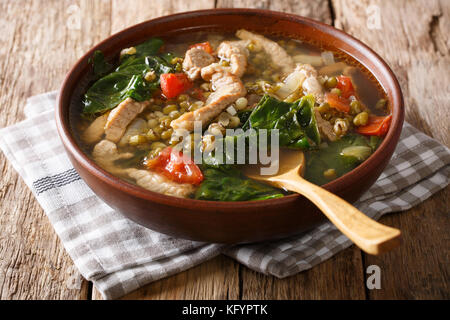 Philippine mung beans soup with pork closeup in a bowl on the table. horizontal Stock Photo