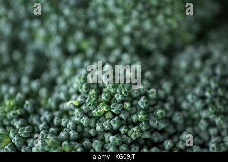 an extreme close-up of a broccoli shot with a macro lens