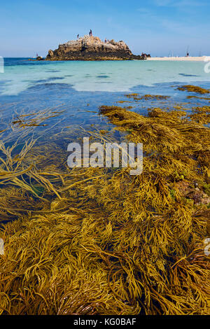 The beautiful Glenan Islands located off the west Finistere coast near Concarneau Brittany France. Stock Photo