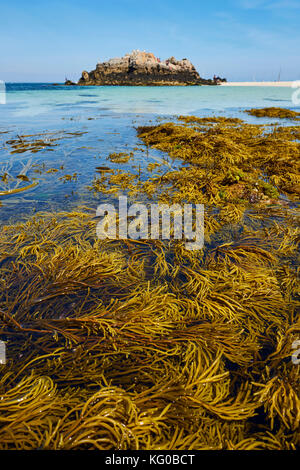 The beautiful Glenan Islands located off the west Finistere coast near Concarneau Brittany France. Stock Photo