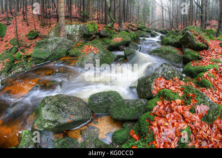 Flowing water over boulders covered with moss in the autumn forest Stock Photo