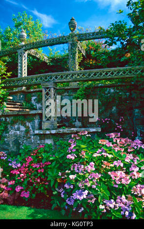Lily Terrace,Bodnant Gardens,Conwy,Wales Stock Photo