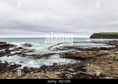 The wild Curio Bay cliffs in the Catlins area by the Tasman sea in New Zealand south island near the city of Invercargill Stock Photo