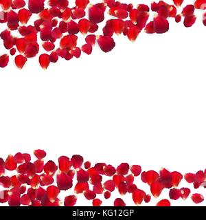 Falling red rose petals isolated on white background. Vector