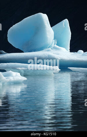 Icebergs from Grewingk glacier floating in lake, Kenai Mountains, Kachemak Bay State Park, Alaska Stock Photo