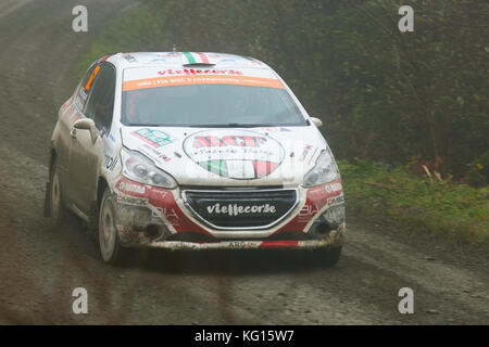 28/10/17 Dyfi, Snowdonia, Wales. Rally car racing in Dyfi the 8th stage of the dayinsure wales rally 2017 Stock Photo