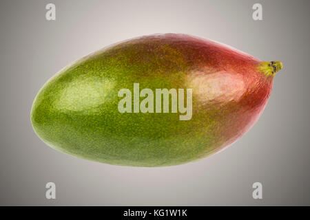Juicy dessert mango isolated on grey background Stock Photo