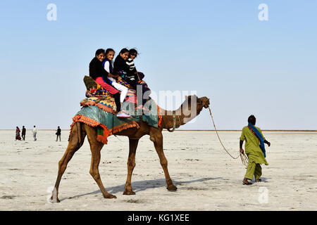 BHUJ, INDIA - 13 JANUARY 2015: Young Indian tourists on the ride on the camel on the salt desert in the state Gujarat in India Stock Photo