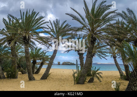 The palm forest of Vai is one of the most popular sights in Crete.It attracts thousands of visitors every year. Stock Photo