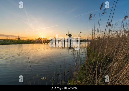 Bridge over the canal with windmills and reeds in the foreground, Kinderdijk, UNESCO, Molenwaard municipality, South Holland, Netherlands Stock Photo