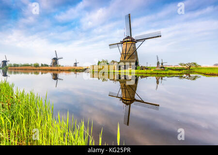 Windmills reflection on the canal and grass in the foreground, Kinderdijk, UNESCO, Molenwaard municipality, South Holland province, Netherlands Stock Photo