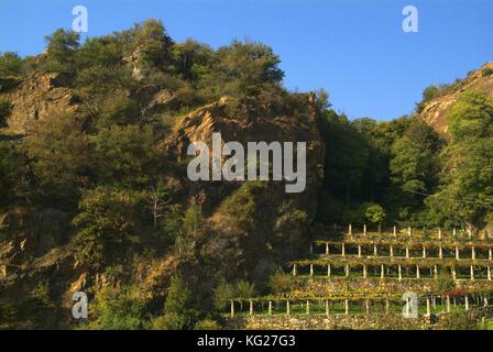 Vineyards of Canavese - close to small village Cesnola, Italy and Via Francigena. Stock Photo