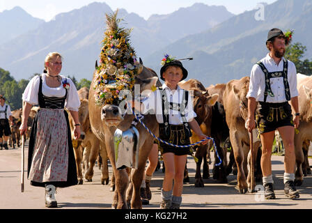 Viehscheid, the Annual Driving down of the Cattle from the summer mountain pastures into the valley, Schoellang, Allgau, Bavaria, Germany, Europe Stock Photo