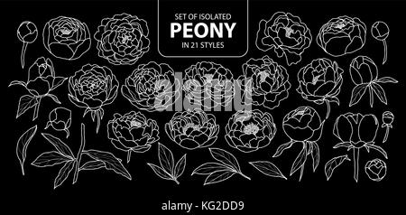 Set of isolated peony in 21 styles. Cute hand drawn flower vector illustration only white outline on black background. Stock Vector