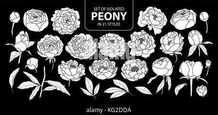 Set of isolated peony in 21 styles. Cute hand drawn flower vector ...