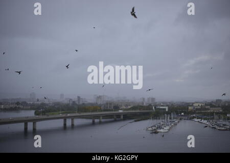 Cardiff Bay Landscape storm with birds flying around Stock Photo