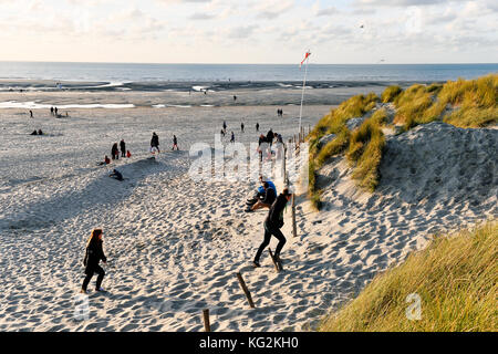 Sand dunes at Le Touquet - Paris Plage, Pas-de-Calais - Hauts-de-France - France Stock Photo