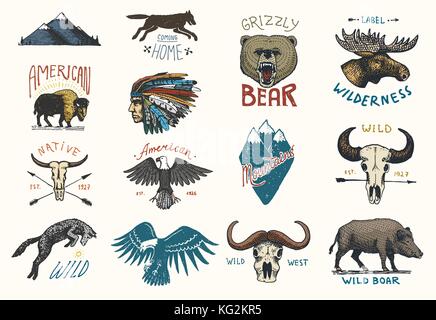 set of engraved vintage, hand drawn, old, labels or badges for camping, hiking, hunting with boar, bear and wolf, red fox . skull and bald eagle, moose face, indian or native american. buffalo Stock Vector