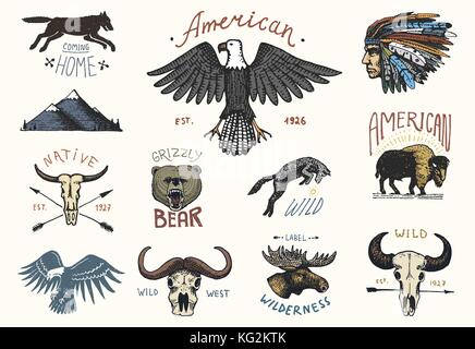 set of engraved vintage, hand drawn, old, labels or badges for camping, hiking, hunting with boar, bear and wolf, red fox . skull and bald eagle, moose face, indian or native american. buffalo Stock Vector