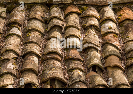 Old traditional greek roof tiles from an abandoned shed. Stock Photo