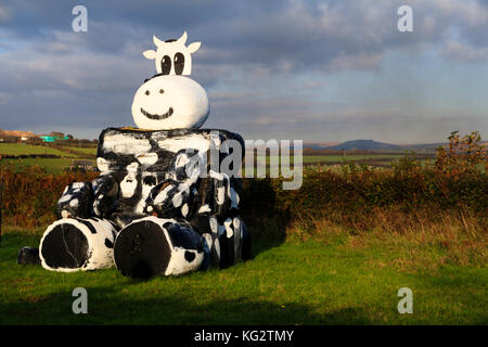 Black plastic coated hay bales for winter fodder arranged and painted to resemble a black and white cow Stock Photo