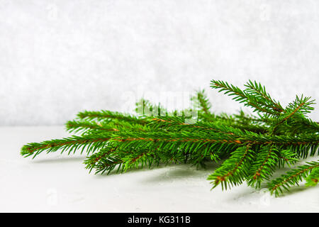 A fur-tree branch lies on a white table. Christmas decoration on a light background. Stock Photo