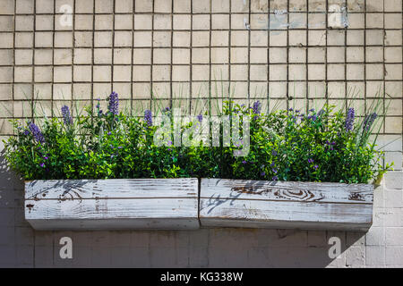 wooden box with daisies on a stone wall. Stock Photo