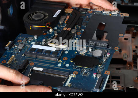 The laptop's motherboard is in the hands of the master Stock Photo